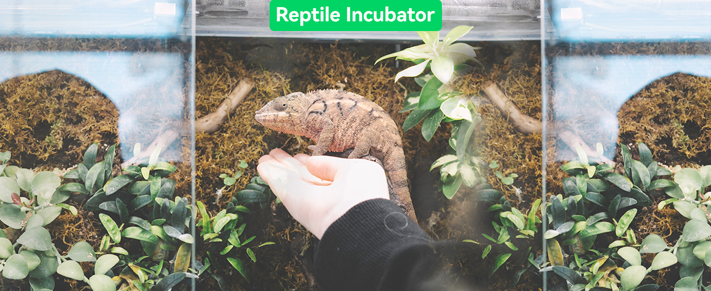 reptile tank snake incubator cage turtle tank