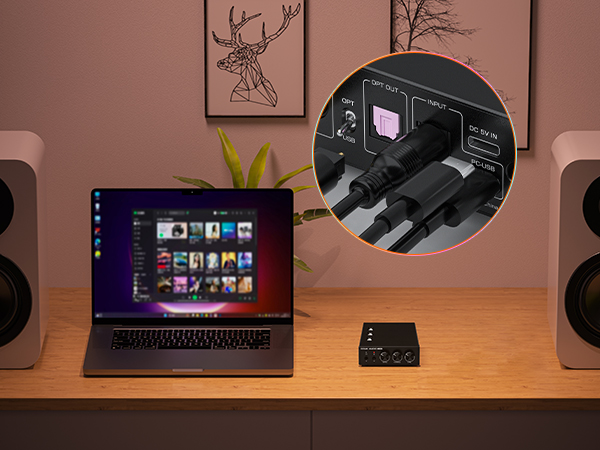 Digital Interface