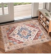 Ciicool Washable Vintage Area Rug, 2x3ft Small Boho Rug, Ultra Soft Rugs for Entryway, Non-Slip E...