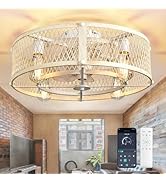 Depuley Flush Mount Ceiling Fan: 20" Caged Ceiling Fans with Lights and Remote App Control for Ki...