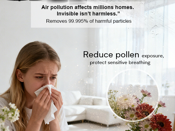 hepa air purifiers for home