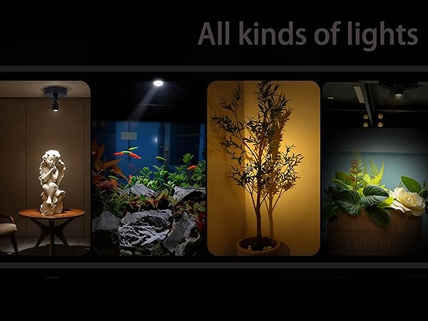 indoor art spotlight