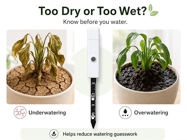 Too Dry or Too Wet?