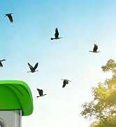 Smart Bird Feeder with Camera Solar Powered