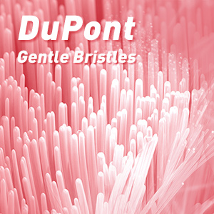 10 Dupont Brush Heads