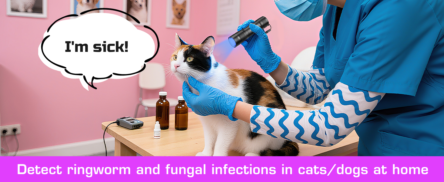 Detect ringworm and fungal infections in cats/dogs at home