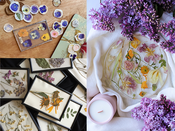 Pressed Flowers