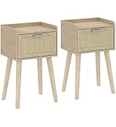 LAATOOREE Nightstand Set of 2, Small Bedside Table, End Table with Rattan Door, Boho Side Table w...