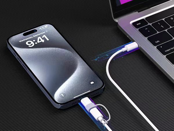 male Lightning and female USB-C connectors