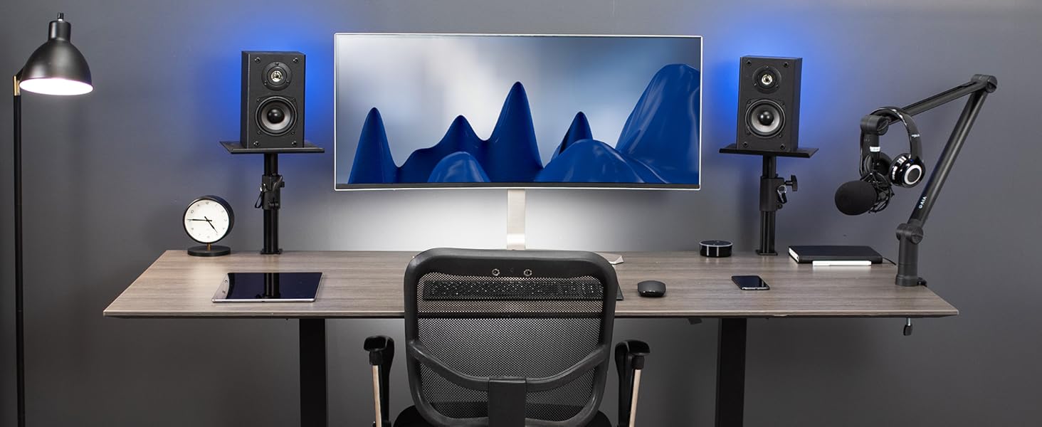 speaker mounts