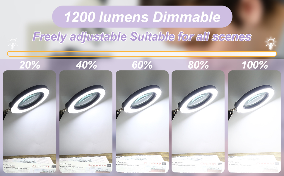 Lighted Magnifier with Stand