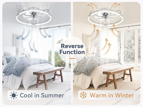 modern ceiling fan with light