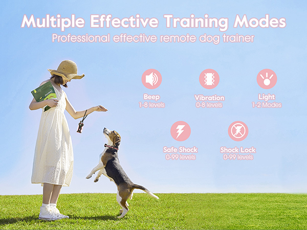 dog shock collar with remote control