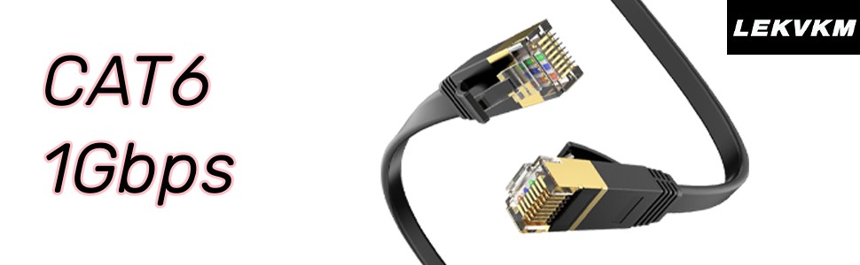 CAT6 1Gbps