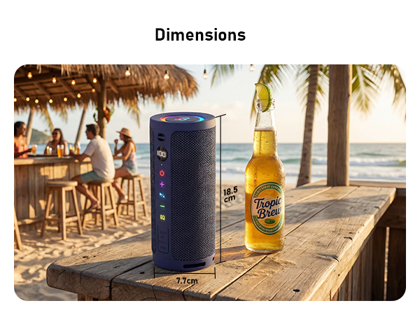 beach speaker