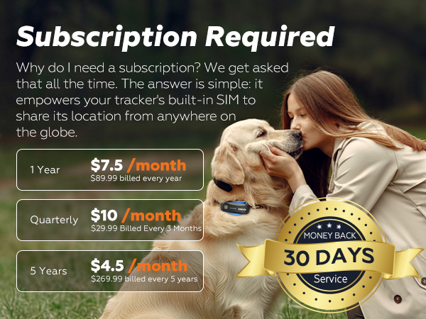 Subscription Plan
