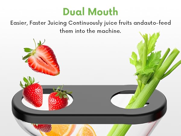 Masticating Juicer Attachment for KitchenAid Stand Mixer