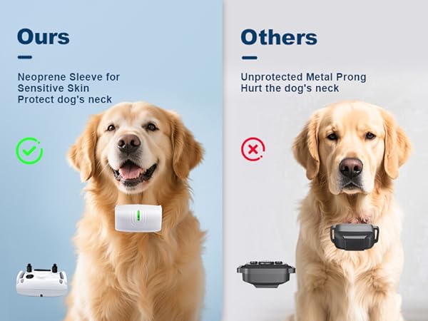 dog training collar