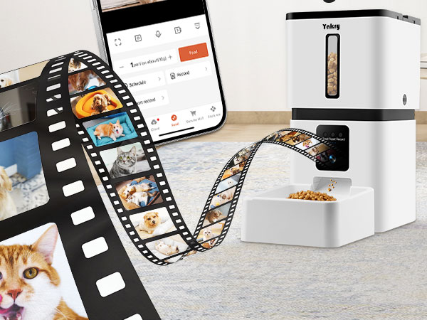 cat feeder with camera