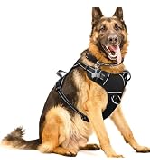 WINSEE Dog/Pet Harnesses No Pull with Dog Collar, Adjustable Reflective Oxford Outdoor Vest, Fron...