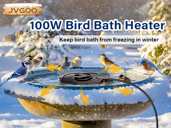 bird bath heater 