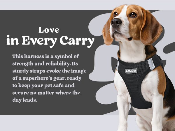 black harness for small dogs