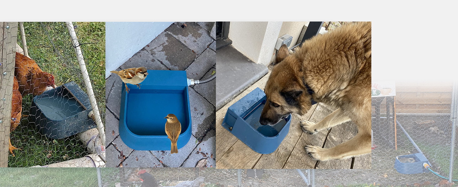 Automatic Water Bowl