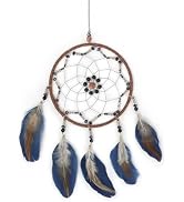 WisePoint Blue Dream Catcher, Handmade Rattan Large Dreamcatcher Ornaments with Feathers and ABS ...