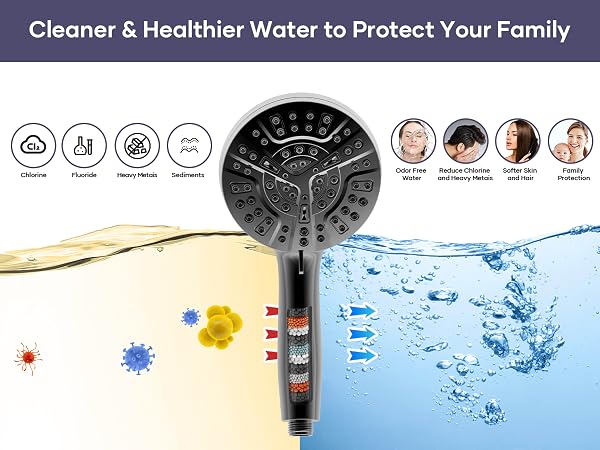 shower head with handheld combo