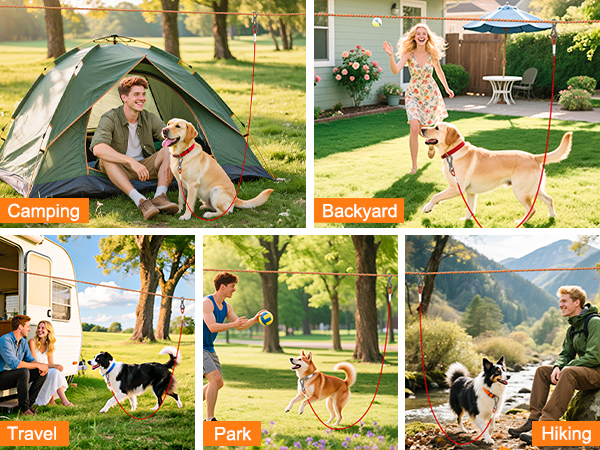 dog camping