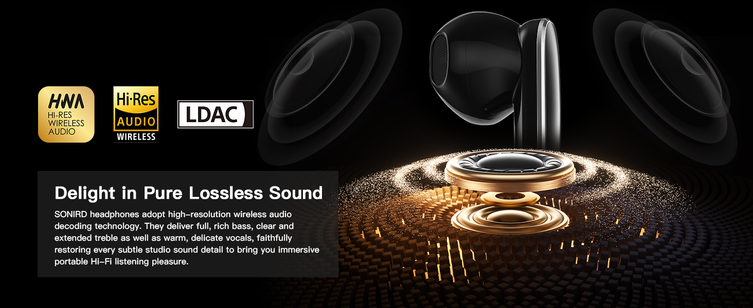 Delight in Pure Lossless Sound