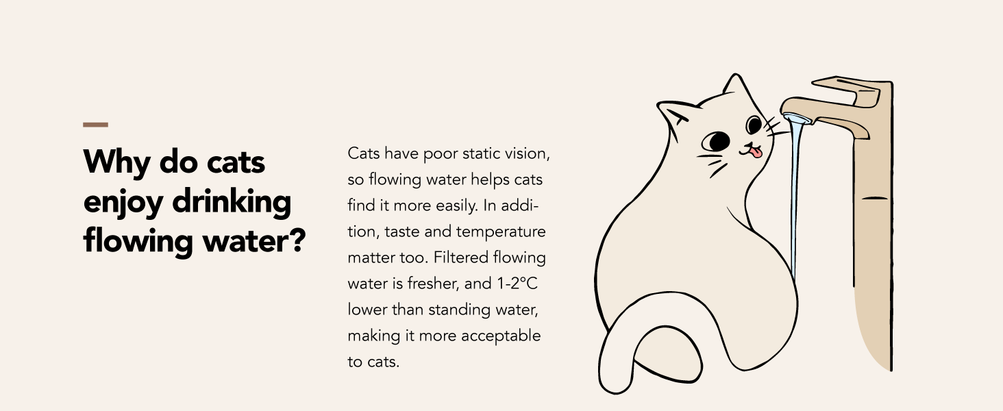 water fountain for cats inside