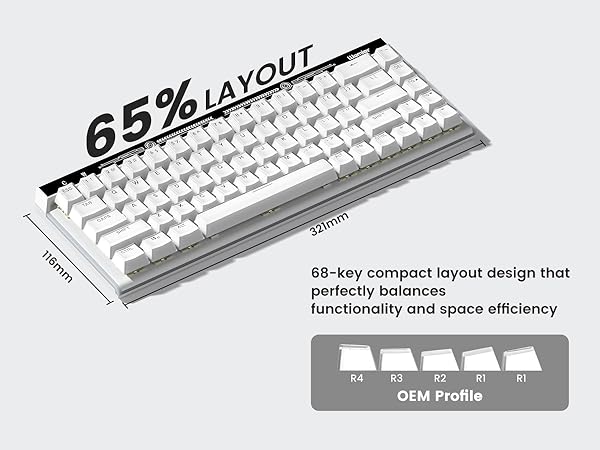 OEM Profile Keycaps