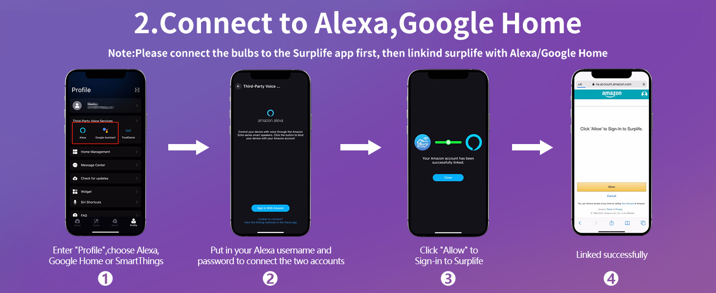 connect to alexa