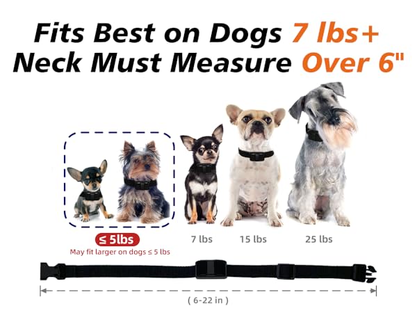 dog training collar with remote dog collars for small dogs shock collar for small dogs 5-15lbs