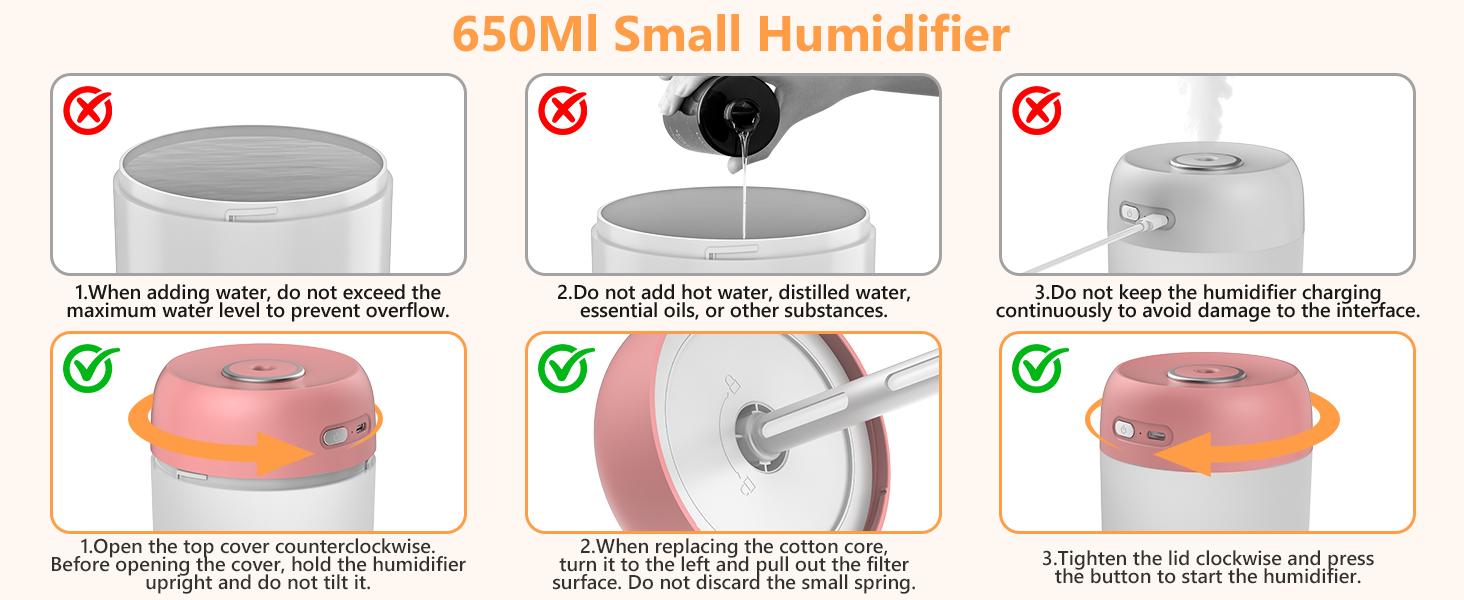 plant humidifier indoor