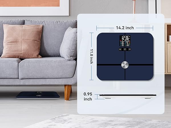 scale with bmi, body fat, muscle mass