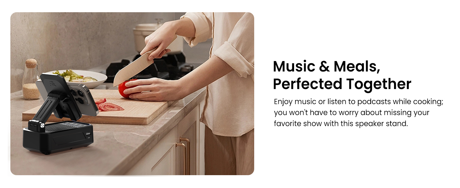 wireless induction bluetooth speaker with phone stand