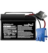 Schumacher Electric Charge ‘n Ride TB4 Rechargeable Replacement Battery for Ride-on Toys Compatib...