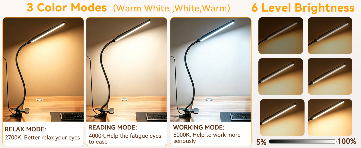 Clip On Desk Lamp