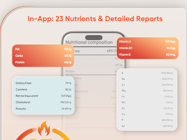 food scale with nutritional calculator