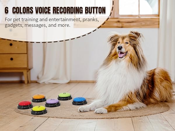 cat buttons for communication