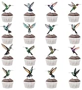 32Pcs Hummingbird Cupcake Toppers, Hummingbird Cake Picks, Bird Party Decorations, Hummingbird Bi...