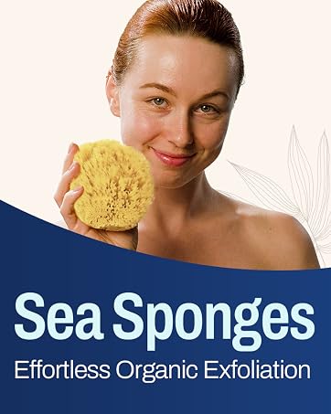 HartFelt Sea Sponges