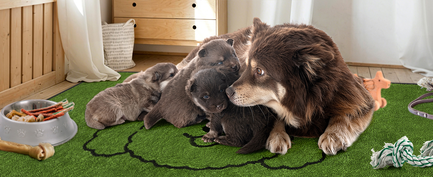 whelping pads