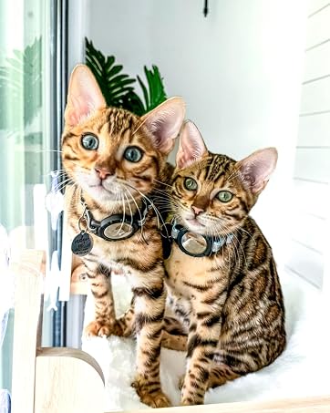 Reflective Airtag cat collar