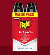 Raid Ant and Roach Spray 2-pack pack shot