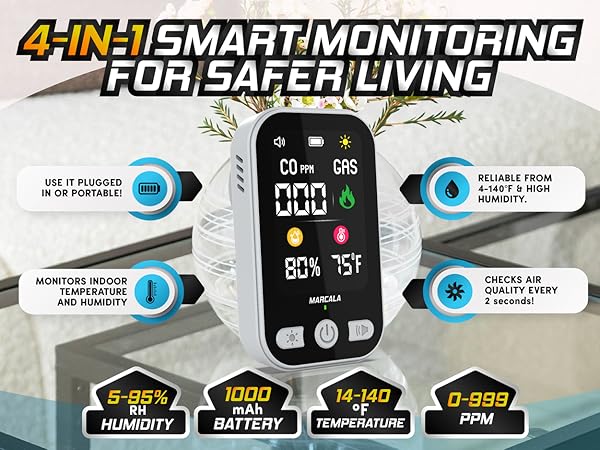 portable carbon monoxide and gas detector