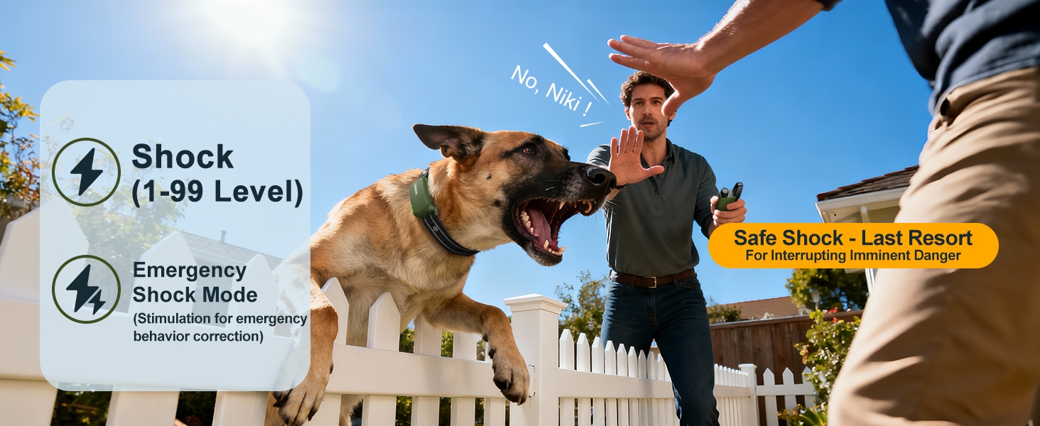 dog zapper collar with remote