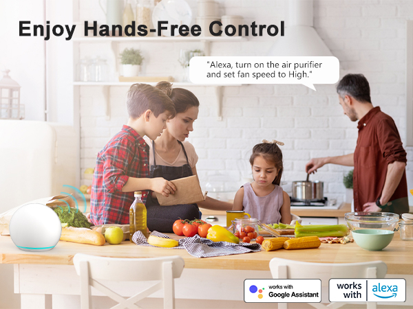smart air purifiers for voice control